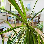 Hotel Kaleici 3*