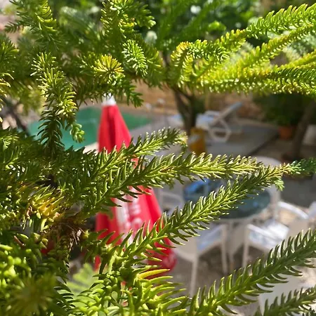 Kaleici Hotel Antalya