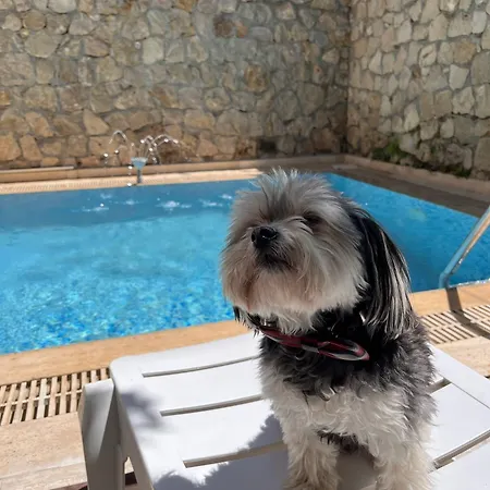Hotel Kaleici