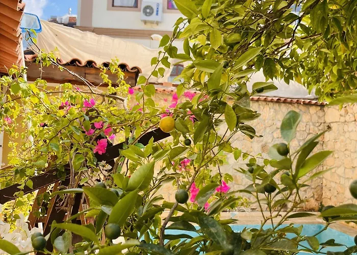 Kaleici Ξενοδοχείο