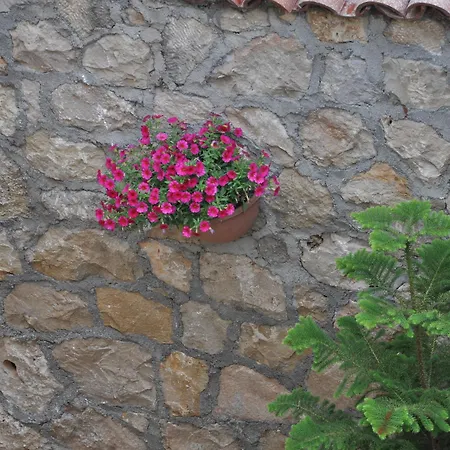 Kaleici Antalya